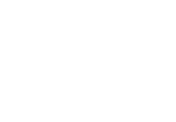 The Court Society