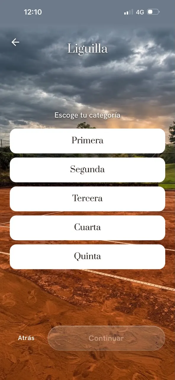 Escoger la categoría